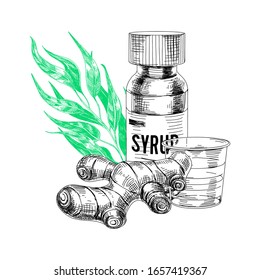 Bottle of medicine syrup with eucalyptus oil and ginger, measuring cup. Hand drawn retro vector illustration, vintage-style sketch isolated on white background.