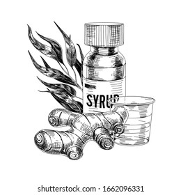 Bottle of medicine syrup with eucalyptus oil and ginger, measuring cup. Hand drawn retro vector illustration, vintage-style sketch isolated on white background.