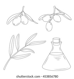 Bottle of oil and the branch of the olive tree.