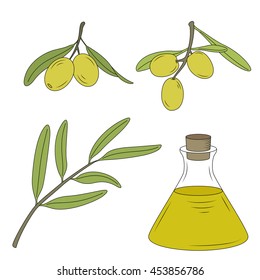 Bottle of oil and the branch of the olive tree.