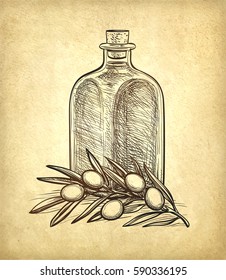 Bottle of olive oil and olive branch. Hand drawn vector illustration. Isolated on white background. Retro style.