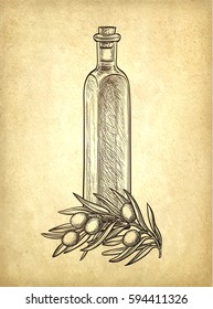 Bottle of olive oil and olive branch. Hand drawn vector illustration. Isolated on white background. Retro style.