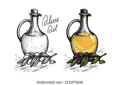 Bottle of olive oil with branch of olives. Hand drawn organic healthy food. Sketch vintage vector illustration