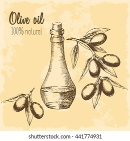 Bottle of olive oil and a branch with olives painted by hand on the vintage background. 100% natural. Sketch drawing in a graphic style. Vector illustration.