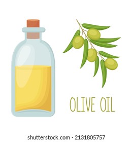 Bottle of olive oil and olive branch, vector illustration 