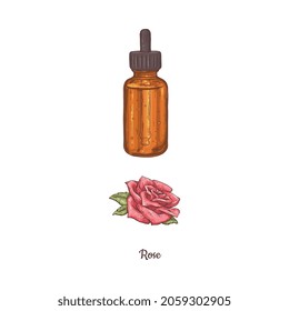 Bottle of organic essential oil of pink rose in color sketch vector illustration isolated on white. Natural aromatic oil for, aromatherapy, spa treatments. Floral fragrance for care, health, beauty