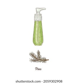 Bottle of organic pine essential oil in color sketch vector illustration isolated on white background. Natural aromatic oil for massage, aromatherapy, spa treatments