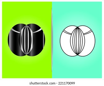 bottle and packaging set of perfume bottles vector format