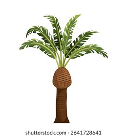 Bottle palm or palmiste gargoulette plant. Vector tropical endemic plant. Element for exotic garden cultivation or icon for outdoor beach decoration. Agriculture and horticulture, botany and biology.