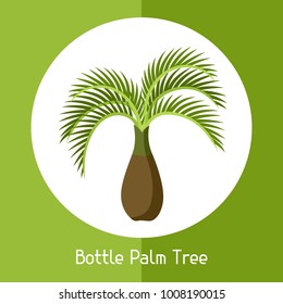 Bottle palm tree. Illustration of exotic tropical plant.