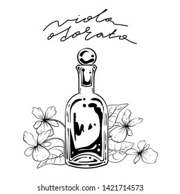 Bottle of perfume made of viola odorata, vector