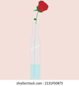 A bottle with a red rose and thorny stem, glass vase for decoration, suitable for signs and symbols and educational content, good for banners and printing materials and gift cards and occasions