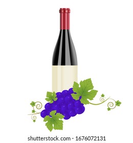 Una botella de vino tinto y un racimo de uvas negras sobre un fondo blanco. Ilustración vectorial para el diseño de menús, cestas de vino, etc.