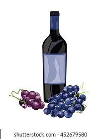Bottle of Red Wine and grapes Vector Vintage illustration