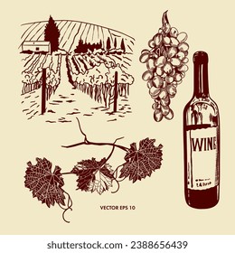 Botella de vino tinto, vid, hojas, viñedos. Ilustración vectorial en estilo gráfico. Elemento de diseño para menús, listas de vinos, etiquetas, pancartas, volantes.