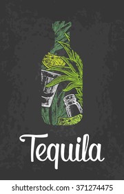 Bottle of tequila with glass, cactus, salt and lime. Engraving vintage vector white and green illustration. Isolated on black background. Hand drawn design element for label and poster