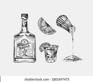 Bottle of tequila, salt and shot with lime and label for retro poster or banner. Mexican drink. Engraved hand drawn vintage sketch. Woodcut style. Vector illustration.