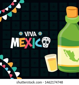 bottle tequila and shot celebration viva mexico vector illustration