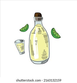 Bottle Of Tequila, Shot Glass And Lime Slices. Colored Simple Doodle. Vector Clipart, Isolated On White