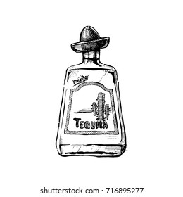 Bottle of Tequila Vector hand drawn illustration of Distilled beverage in vintage engraved style. isolated on white.