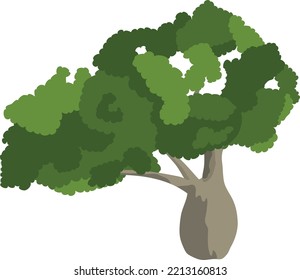 Bottle tree icon. Green foliage natural plant