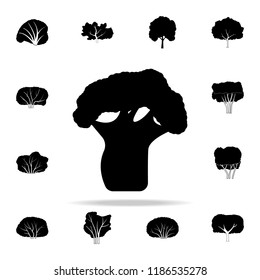 bottle tree icon. Plants icons universal set for web and mobile