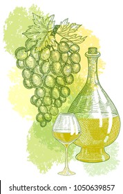 Bottle of white light wine, a glass and a bunch of grapes against the background of watercolor stains