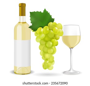 A bottle of white wine, grapes and a glass of wine - vector composition