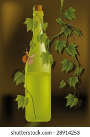 bottle with white wine a snail and a grapevine
