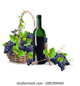 A bottle of wine and a basket of grapes. A realistic still life. Vector illustration.