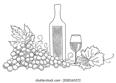 bottle of wine with wine glass and grape - vector sketch