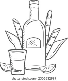 bottle of wine and glass. Bottle of tequila and glass. Vector illustration in sketch style