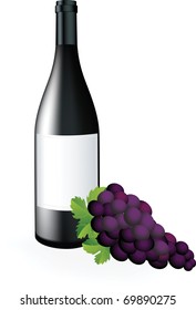 Bottle of wine and grapes brush.
