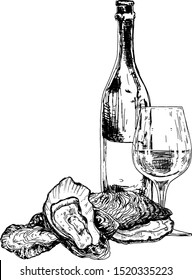 Bottle of wine, group of oysters and glass. Hand drawn illustration in engraving style. Isolated black illustration on white background