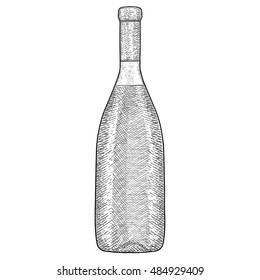Bottle of wine. Hand drawn sketch. Vector illustration isolated on white background