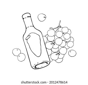 A bottle of wine and round grapes. Vector logo illustration on a white background. 