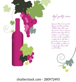Bottle of wine and the vine. Vector frame 