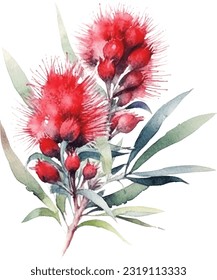 Bottlebrush Watercolor illustration. Hand drawn underwater element design. Artistic vector marine design element. Illustration for greeting cards, printing and other design projects.