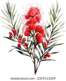 Bottlebrush Watercolor illustration. Hand drawn underwater element design. Artistic vector marine design element. Illustration for greeting cards, printing and other design projects.