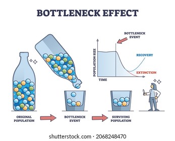 Bottleneck effect axis scheme on genetic drift and population outline diagram. Labeled graphic with time and species variation reduction after disaster event vector illustration. Nature change process