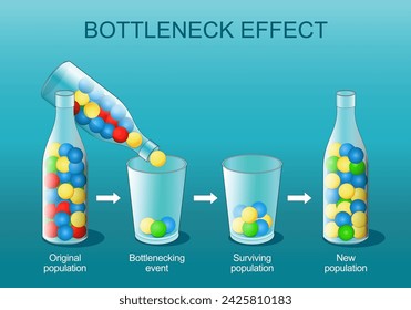 Bottleneck effect. Natural selection. Genetic bottleneck is a sharp reduction in the size of a population. explanation of the phenomenon using colorful balls, glasses and bottle. Science experiment