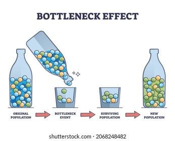 Abfüllungseffekt auf genetische Drift und Populationseffekt-Rahmendiagramm. Die markierte Bildungsmutation und Evolution ändern sich nach dem Katastrophenfall und die Variationsreduktion von Wildtieren Vektorgrafik.