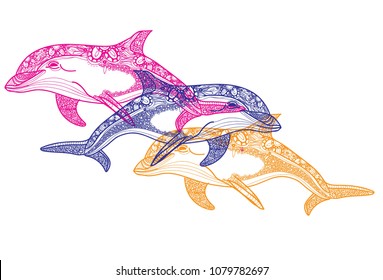 The bottlenose dolphin. Meditative coloring. Mandala, dudling drawing. Drawing by hand. Coloring for children. Points, stripes, arrows.