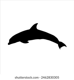 Bottlenose dolphin silhouette isolated on white background. Dolphin bird icon vector illustration design.