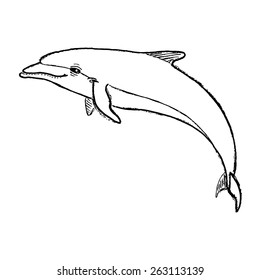 Bottlenose dolphin/ Vectorized hand drawn sketchy illustration