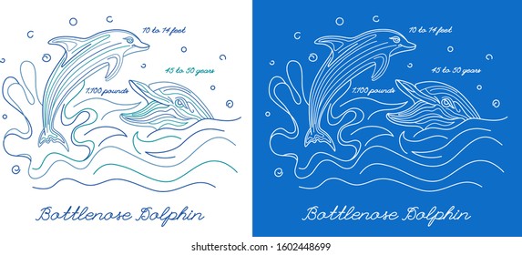 Bottlenose dolphins swimming and jumping in the water. Linear illustration. Editable stroke