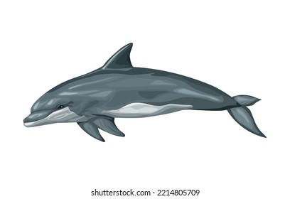 bottlenose whale sealife animal icon