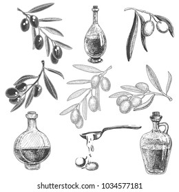 Bottles of olive oil
and an olive branches, ink sketch elements. Monochrome vector illustration isolated in white.