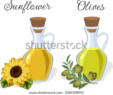 Bottles with olive and sunflower oil.Vector illustration with olive and sunflower oil in glass bottles on a transparent background with text.