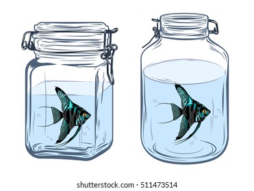 Bottles, round and square shapes, with a angelfish inside, freehand drawing